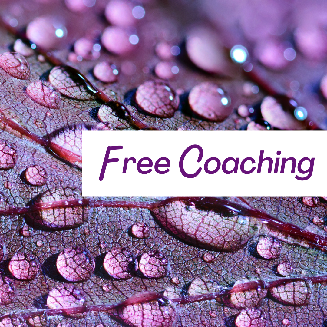 Free Coaching