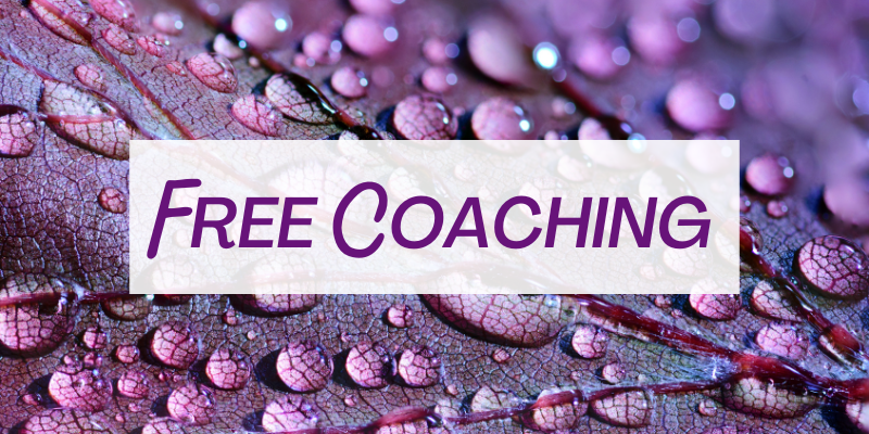 Free Coaching - Header