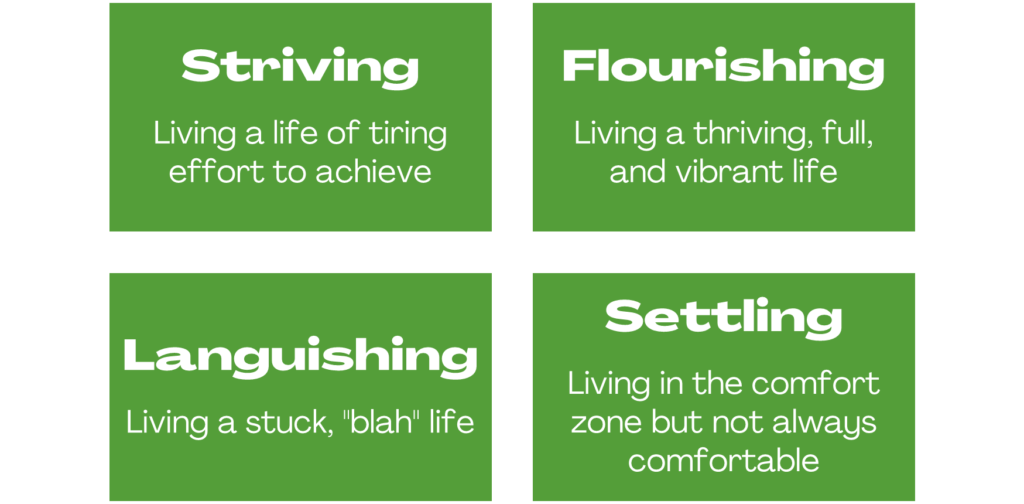 Diagram illustrating four quadrants of Languishing, Striving, Settling and Flourishing. 