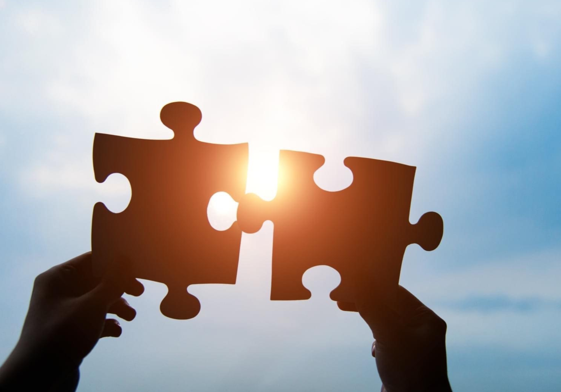 Puzzle Pieces